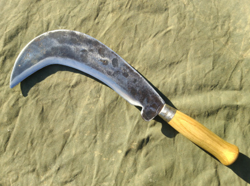 image of Finch bill hook